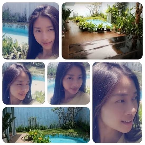 Bên ngoài khuôn viên có vườn cây và bể bơi.