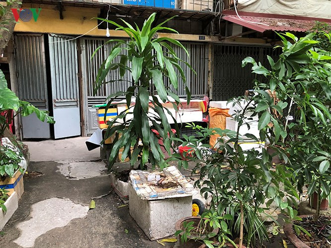 Cây cối rậm rạp, nước đọng còn là nơi khu trú của muỗi.