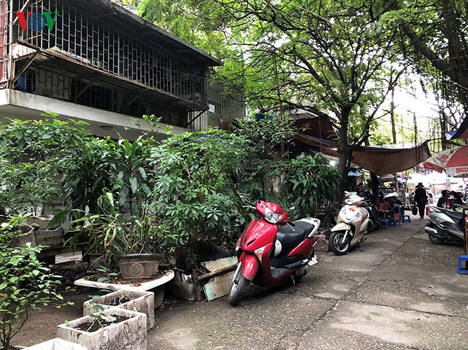 Những nhà ở dưới tầng 1 mang các chậu cây đặt giữa đường đi.