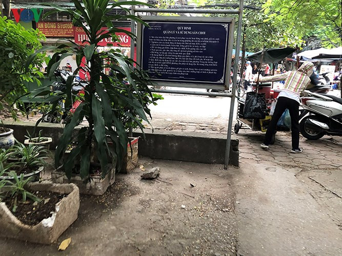 Các chậu cây đựng bằng hộp xốp trônng rác rưởi bẩn thỉu.