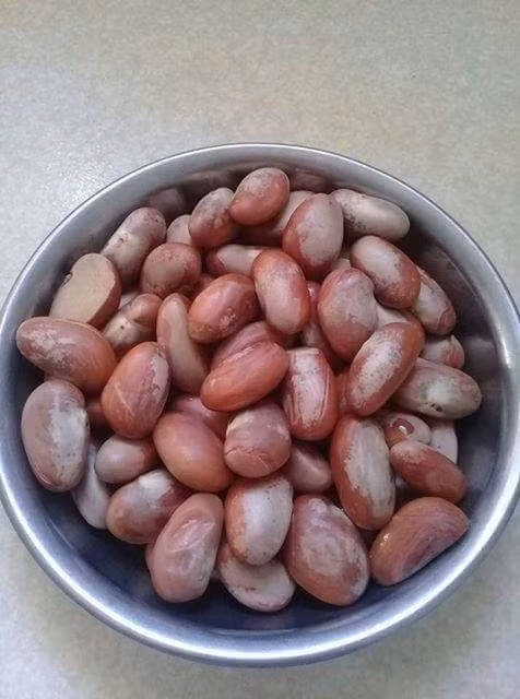 Tuổi thơ 8x, 9x trở về trước không chỉ thèm ăn, thèm chơi mà còn thèm vừa ăn vừa chơi, vừa nghịch nữa. Trò nghịch hồi hộp nhất là những lần đi hái trộm hoa quả rồi vừa hí hửng chia nhau ăn vừa nơm nớp sợ bị phát hiện, đến nỗi mấy ngày sau nhìn thấy chủ nhà từ xa phải len lén đi vòng ngõ khác.