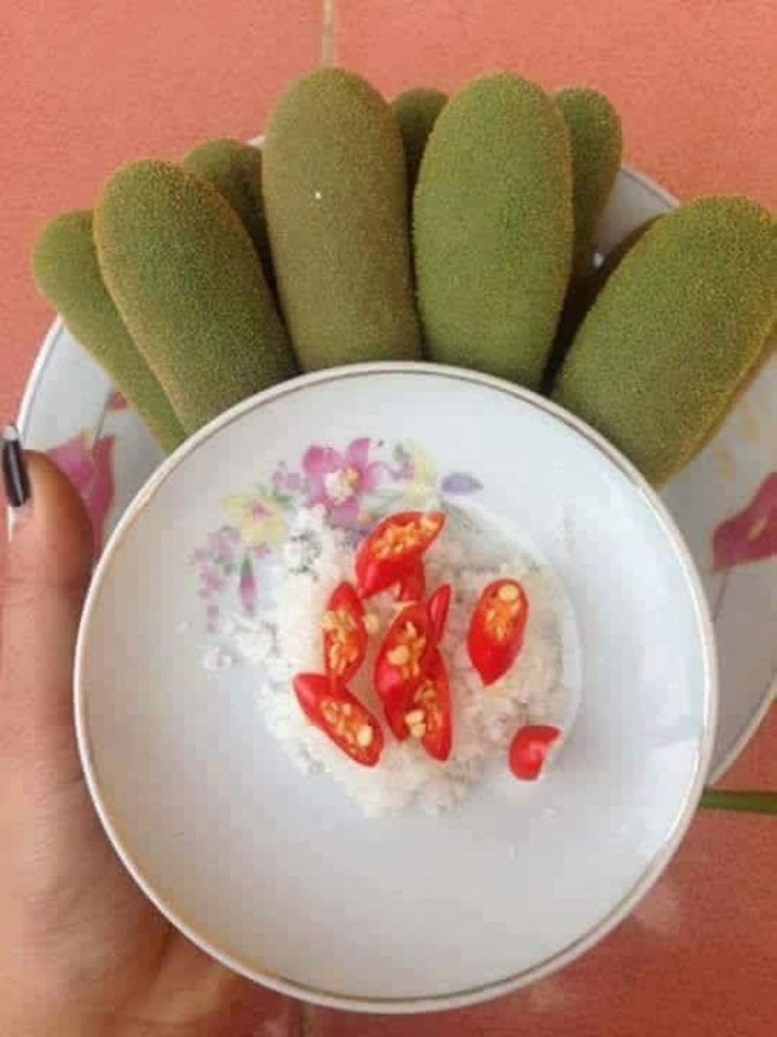 Thuở ấy không xúng xính áo quần, cặp sách, đồ chơi; thuở ấy cũng không có nhiều món ăn ngon, nhưng có những món đồ chơi tự chế, có những ngày lén trèo héo trái mít non chát lè, nhưng có thêm mấy cái lá mít cuộn đựng muối ớt rồi thì vừa ăn vừa xuýt xoa làm cái vị cay bùi chát ấy mãi theo ta đến khi trưởng thành.