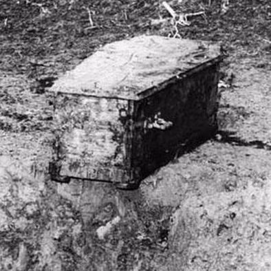 Khi nhận được thông báo trên, gia đình vua hề Sác Lô không khỏi bị sốc. Sau khi trộm di hài Chaplin, những kẻ trộm tống tiền gia đình nam diễn viên quá cố.