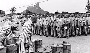 Cuộc đào thoát này bắt đầu từ việc những tù nhân Do Thái tại Sobibor nghe được thông tin rằng Đức quốc xã sẽ san phẳng trại tập trung cũng như sát hại toàn bộ tù nhân để che giấu tội ác vào ngày 15/10/1943.