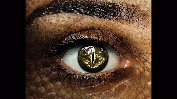 Tất cả chỉ là giả thuyết. Con người chưa tìm ra bất cứ bằng chứng nào chứng minh những giả thuyết trên là sự thật. Tuy nhiên, những giả thuyết thú vị này thu hút sự quan tâm của dư luận.