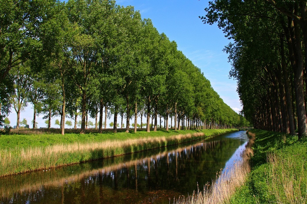 Vào năm 1810, Napoleon ra lệnh đào con kênh Damme hay còn gọi Damse Vaart hoặc con kênh mang tên Napoleon.