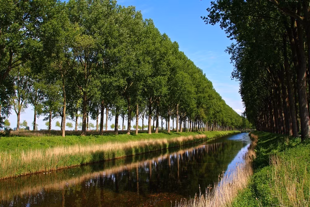 Vào năm 1810, Napoleon ra lệnh đào con kênh Damme hay còn gọi Damse Vaart hoặc con kênh mang tên Napoleon.