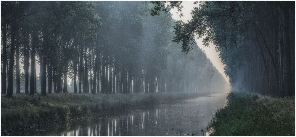 Vị hoàng đế Pháp nổi tiếng thế giới này đã dẫn dắt quân đội tham gia nhiều cuộc chiến lớn và giành được những thắng lợi vẻ vang.