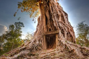 Khám phá khu phức hợp ngôi đền cổ Sambor Prei Kuk của Campuchia. 52 ngôi đền tuyệt vời này được xây dựng trong thế kỷ thứ 7 và là phần còn lại của một vương quốc cầm quyền vĩ đại. Những đền thờ bao gồm ba dặm về những góc khuất trong tỉnh Kampon Thom của Campuchia. Bạn sẽ đi bộ xuyên qua khu rừng đến vùng sâu vùng xa này. Khi đó, các hướng dẫn viên sẽ đưa bạn đi tham quan kỳ quan này trên một chiếc tuk tuk.