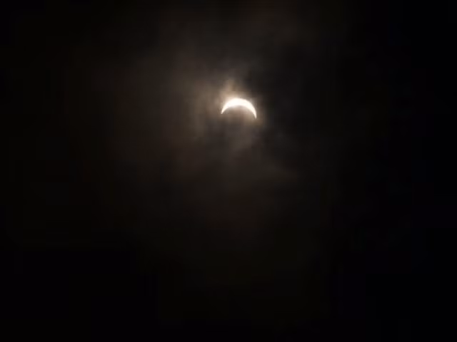 Nhiều trường hợp mắc chứng sợ bóng tối đều ảnh hưởng lớn đến cuộc sống, kết quả học tập hay hiệu quả công việc.