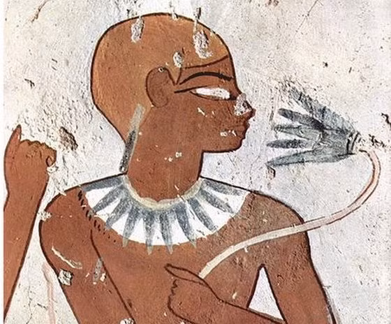 Chính vì vậy, hoa sen cũng tượng trưng cho sự tái sinh. Xuất phát từ điều này, người Ai Cập sử dụng hoa sen để tượng trưng cho người chết khi bước sang thế giới bên kia và bắt đầu quá trình tái sinh.