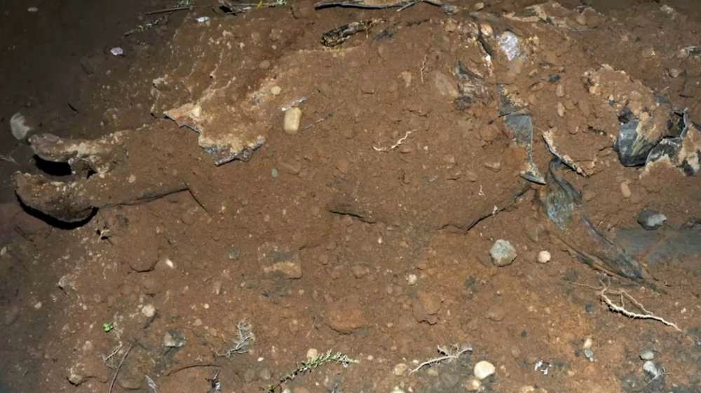 Xác ướp thuộc về người phụ nữ trẻ, người Mỹ gốc Phi. Người này qua đời chỉ vài năm sau khi Mỹ bãi bỏ chế độ nô lệ (tức năm 1827).