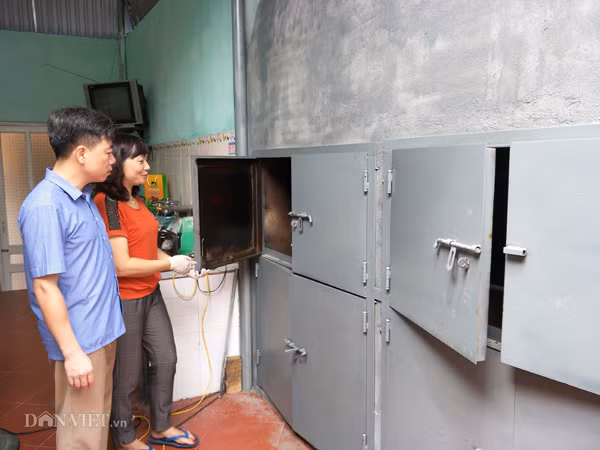 Tan mat thay trau ngo khong lo, dac san quy hiem co 1-0-2 o Viet Nam-Hinh-5