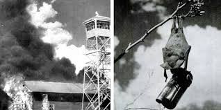 Sau khi hoàn thành, Mỹ tiến hành thử nghiệm bom dơi. Tuy nhiên, kết quả thử nghiệm không đạt được hiệu quả như kỳ vọng. Cụ thể, một số con dơi mang theo bom đã thoát ra ngoài và gây ra những vụ nổ ngay tại khu vực thử nghiệm gây ra thiệt hại đáng kể.