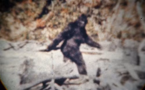 Trong nhiều thập kỷ qua, một số người tuyên bố đã phát hiện những dấu chân còn mới của người tuyết Yeti ở khu vực núi Everest thuộc địa phận Nepal.