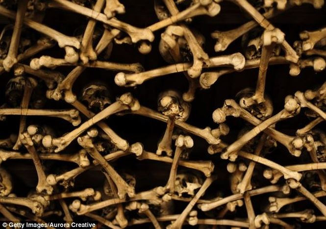 Nguyên do là vì trong khoảng thời gian từ năm 1776 - 1804, linh mục người địa phương Vaclav Tomasek đã cho sắp xếp xương người trang trí lên khắp tường và trần của nhà thờ.