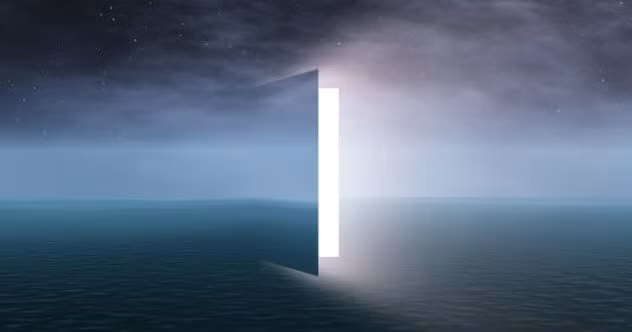 Câu chuyện của những người cận tử được kể lại hết sức sống động. Điều này thu hút sự quan tâm của công chúng cũng như giới chuyên gia.