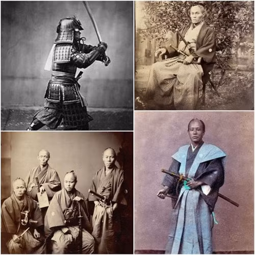 Những đặc điểm này giúp các samurai dễ dàng rút thanh kiếm katana ra khỏi vỏ.