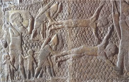 Các nền văn minh cổ xưa áp dụng những kiểu tra tấn tàn bạo. Trong số này, lột da được xem là phương pháp tra tấn tàn bạo và gây đau đớn tột độ cho phạm nhân.