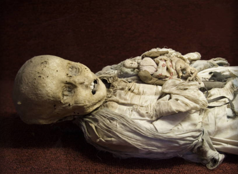 Một số thi hài được bảo quản khá nguyên vẹn sau nhiều thập kỷ với lông màu, râu, móng tay còn nguyên.