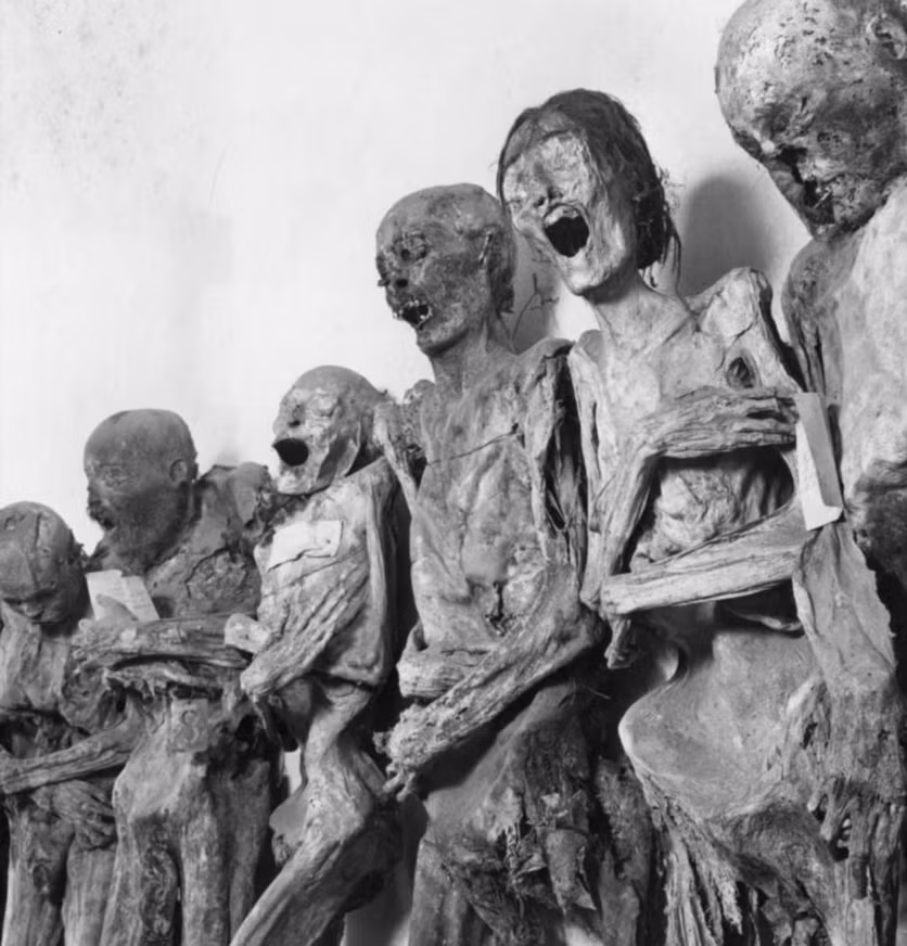 Những xác ướp đặc biệt này được khai quật từ những phần mộ trong nghĩa trang bên cạnh.