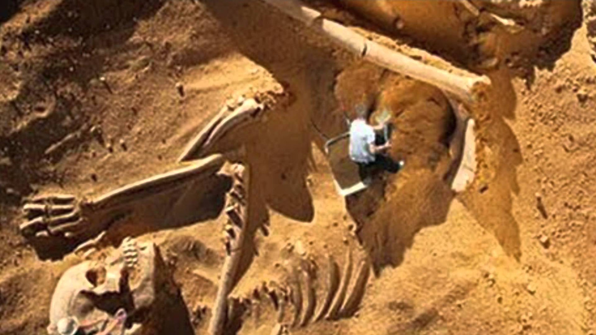 Theo đánh giá của các chuyên gia, bộ hài cốt có kích thước lớn gấp gần 10 lần so với người bình thường.