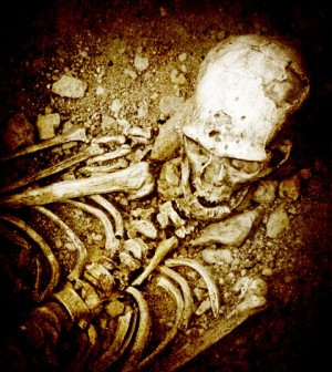 Sau khi phát hiện này được công bố, một số người cho rằng đây chính là bằng chứng chứng minh sự tồn tại của người khổng lồ là có thật.