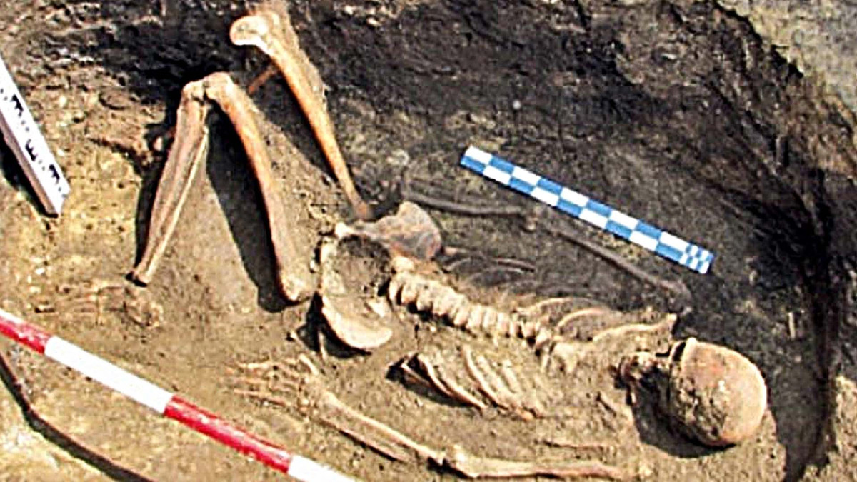 Tuy nhiên, về sau, các chuyên gia di chuyển hộp sọ khổng lồ đi nhưng không biết mang đến đâu. Kể từ đó, không có bất cứ thông tin nào về phát hiện này.