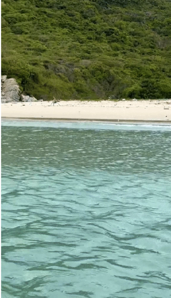 Phat hien “vien ngoc an” o Nha Trang-Hinh-4