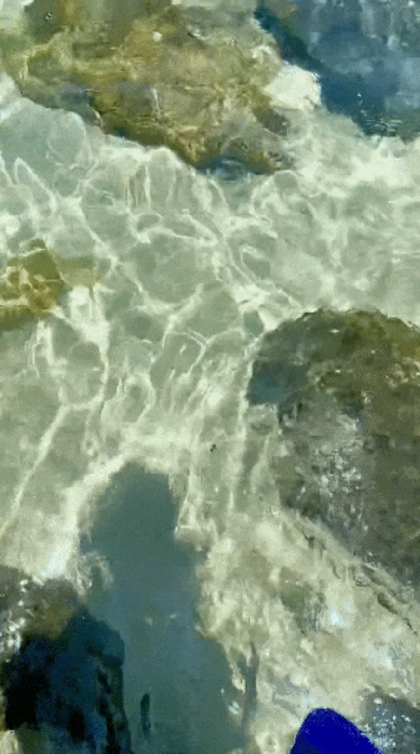 Phat hien “vien ngoc an” o Nha Trang-Hinh-5