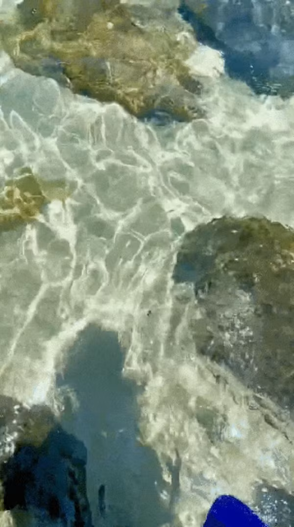 Phat hien “vien ngoc an” o Nha Trang-Hinh-5