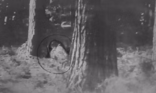 Kinh ngac chup anh “bong ma” nghi cua Slender Man