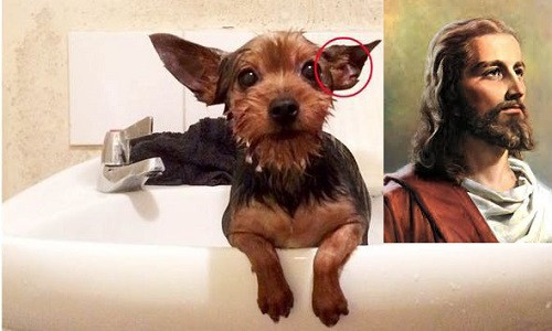 La thuong chu cho co doi tai mang khuon mat chua Jesus