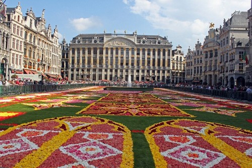 Flower Carpet (Thảm hoa) là một trong những lễ hội hoa rực rỡ nhất hành tinh. Vào dịp này, một thảm hoa lớn sẽ được đặt bên ngoài quảng trường lớn ở Brussels. Lễ hội Flower Carpet kéo dài bốn ngày bắt đầu vào năm 1971. Từ năm 1986, lễ hội trở thành sự kiện đặc biệt được tổ chức hai năm một lần.
