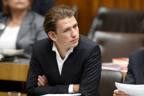 Tháng 4/2011, trong thời gian diễn ra cuộc cải tổ nội các thì Kurz được chỉ định làm Quốc vụ khanh Hội nhập (thuộc Bộ Nội vụ Liên bang Áo)