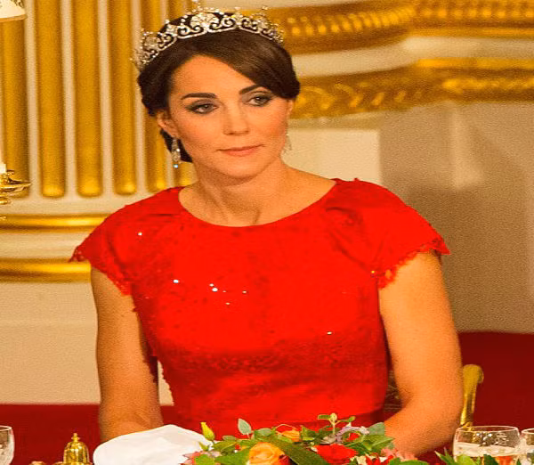 De nhat phu nhan TQ va Cong nuong Anh “khoe” quan ao-Hinh-3