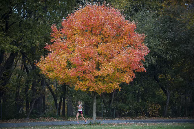 Mùa thu ở Vườn quốc gia Van Corland, New York, Mỹ.