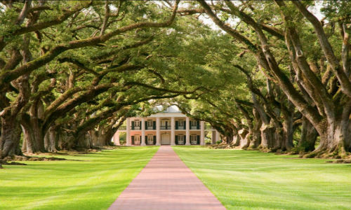 Oak Alley Plantation là một đồn điền lịch sử nằm dọc bờ sông Mississippi, bang Louisiana. Du khách sẽ có cảm giác như lạc bước vào trong thế giới cổ tích khi đi qua đường sồi Oaak Alley.