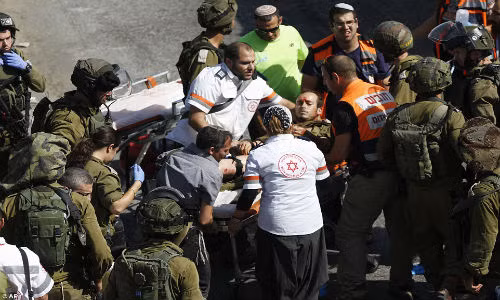 ...và sau đó được đưa tới bệnh viện điều trị.