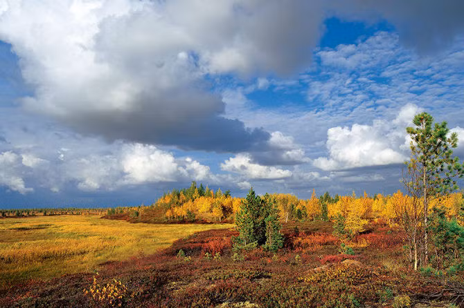 Canh dep me hon cua vung dat bang gia nuoc Nga-Hinh-3