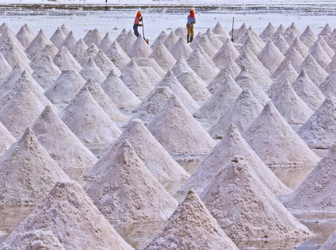 Công nhân đang thu hoạch trên ruộng muối khô ở làng Yanchi, huyện Gaotai, tỉnh Cam Túc ngày 24/8/2015.