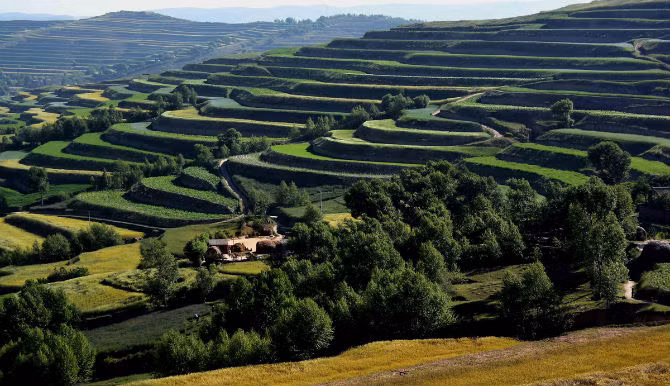 Ảnh chụp khu ruộng bậc thang ở thị trấn Định Tây, tỉnh Cam Túc ngày 4/7/2014.