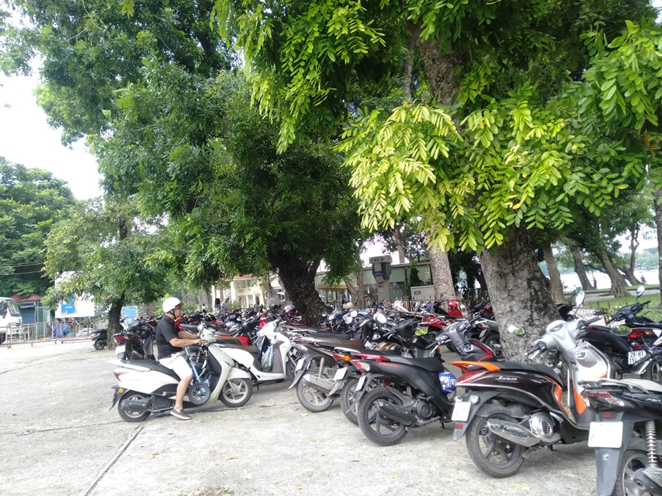 Bãi gửi xe trong khu vực công viên chật kín xe.