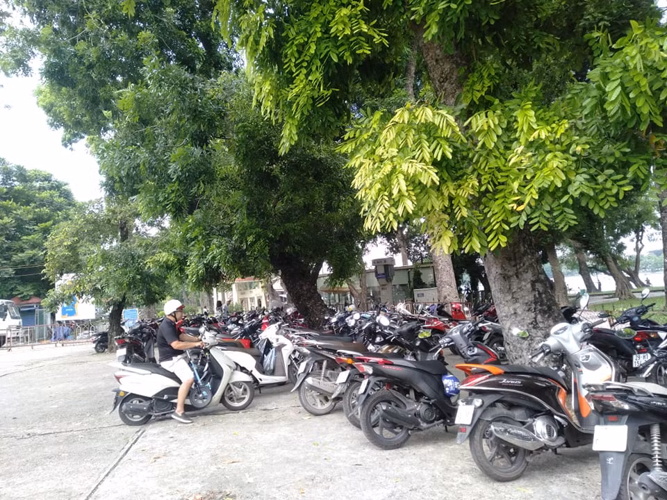 Bãi gửi xe trong khu vực công viên chật kín xe.