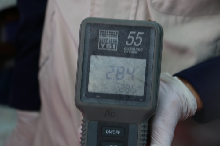 Đại diện công ty JVE tiếp tục kiểm tra mùi nước sông Tô Lịch.