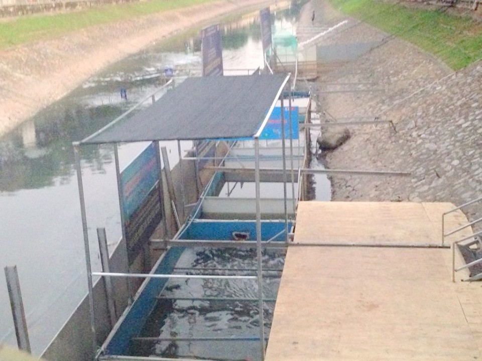 Được biết, những con cá Koi này có giá trị cao nên sau khi thả cá vào bể khu vực thí điểm công ty này đã cho bảo vệ canh suốt ngày đêm và dựng thêm mái che tại bể thả cá.