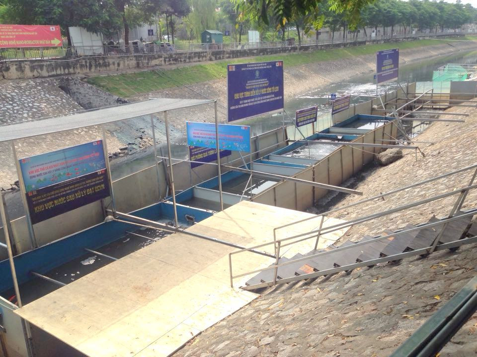 Trước đó, vào ngày 16/9, Công ty Cổ phần Cải thiện môi trường Nhật Việt (JVE) đã thả cá xuống sông Tô Lịch và Hồ Tây. Trong đó có chép Nhật Bản (cá Koi) được thả xuống.