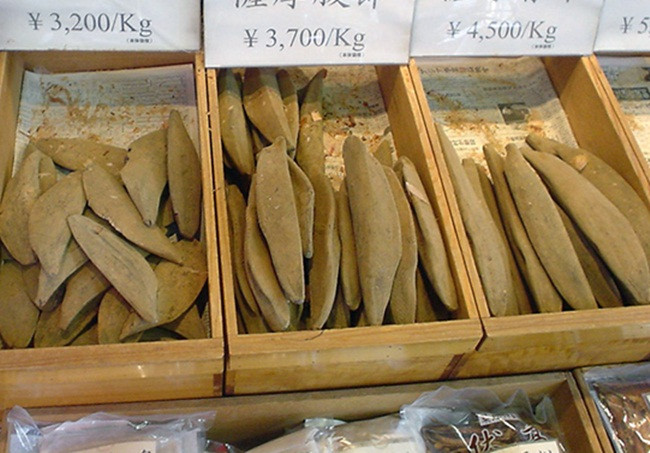 Trước đây người ta phải tự mua về rồi bào để dùng thì nay đã có các sản phẩm bào sẵn đóng gói bán.