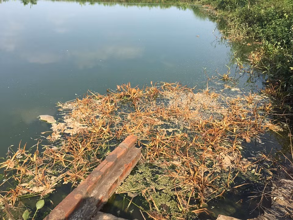 Vu ca chet nghi do dau doc: Hien truong dang so!