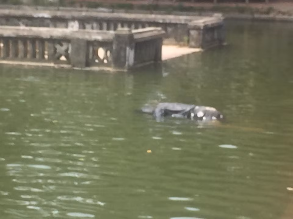 Phat hien thi the phu nu noi trong ao khuon vien den Phu Dong